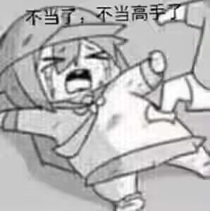 不当了不当了